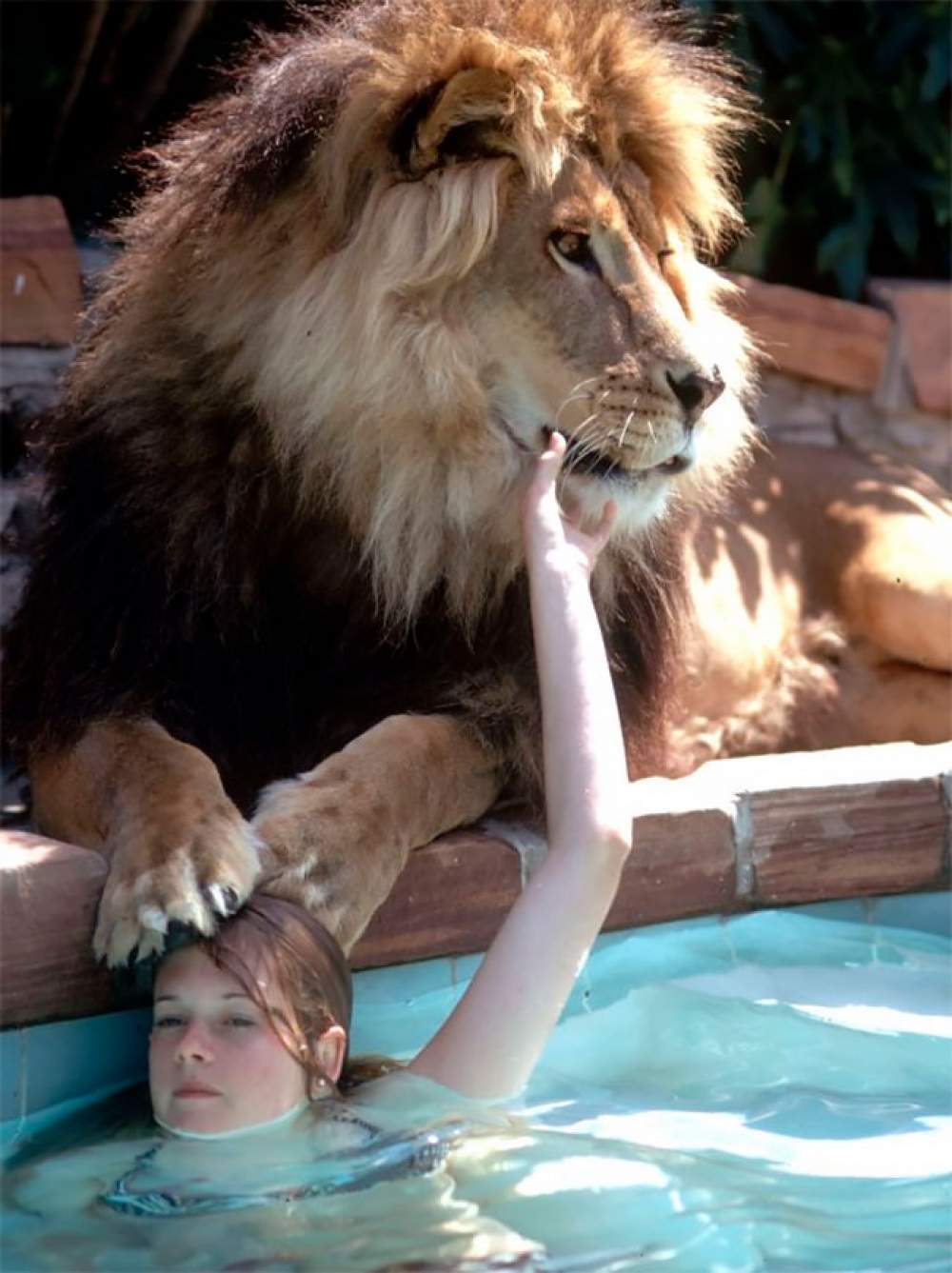 Neil, mascota de Tippi Hedren 