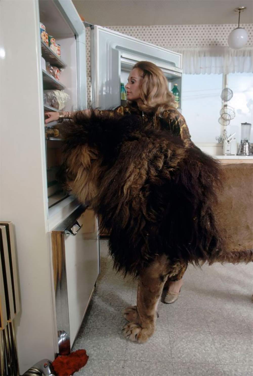 Neil, mascota de Tippi Hedren 