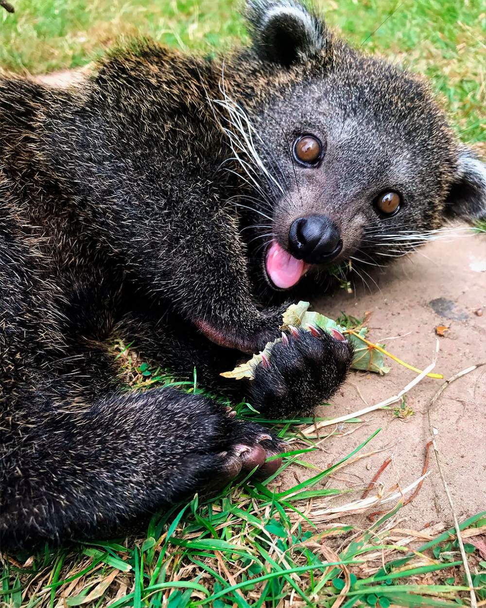 Mejores fotos de Zoológicos y Acuarios