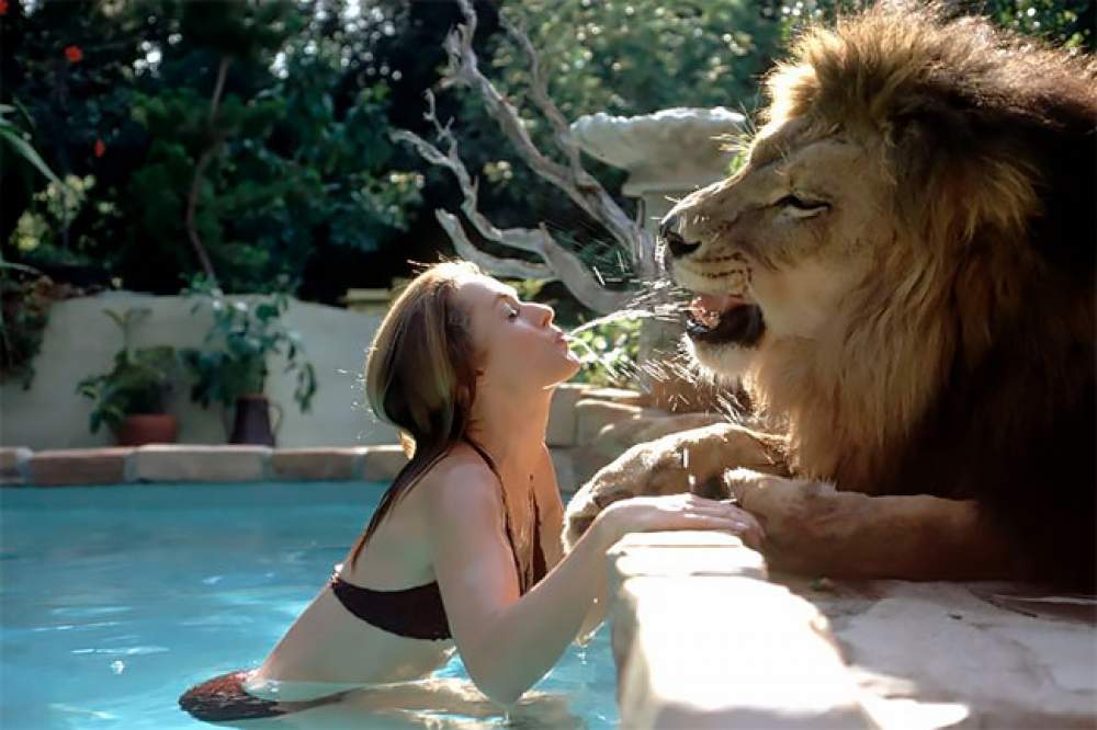 Neil, mascota de Tippi Hedren 