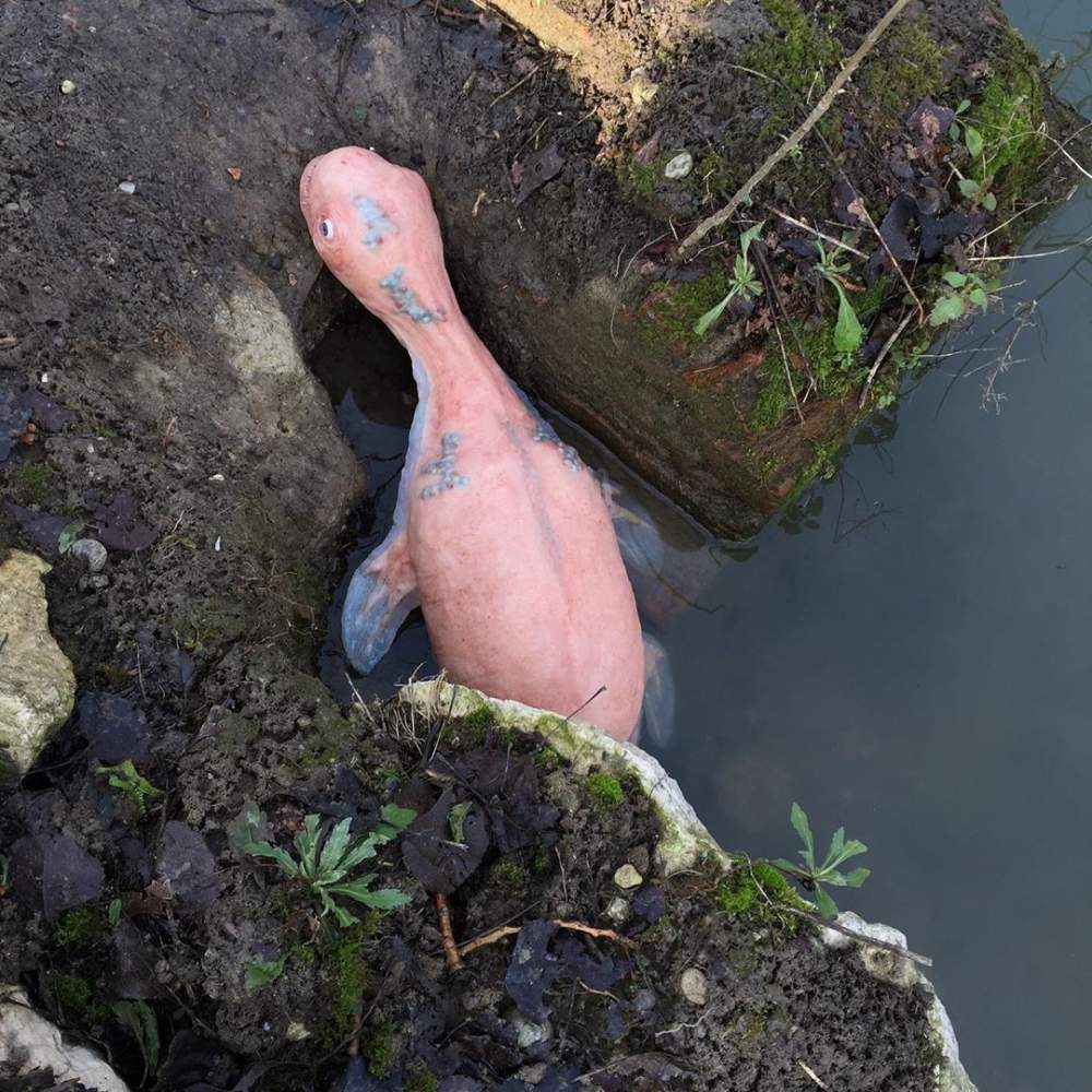 Espeluznantes criaturas de Laira Maganuco