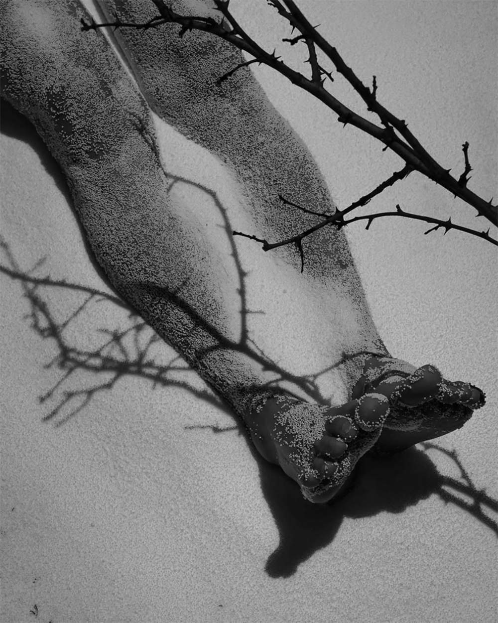 B&W Photography Awards 2020