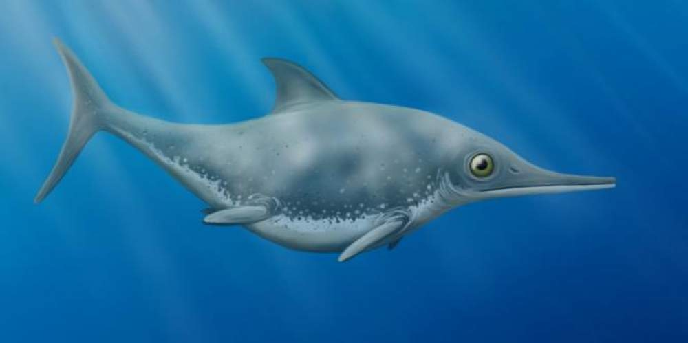 Dragón marino prehistórico