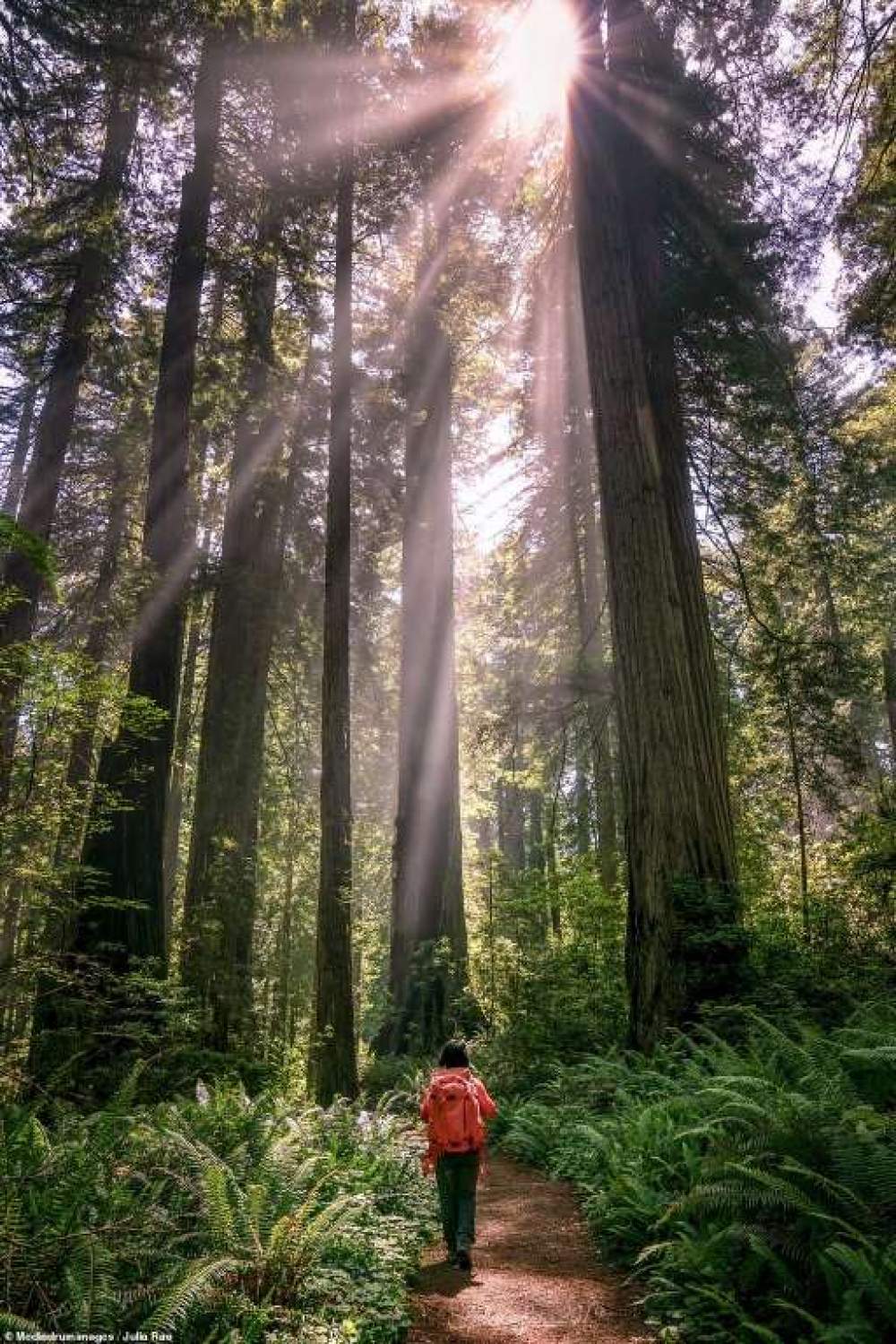 Finalistas del National Parks Photo Contest