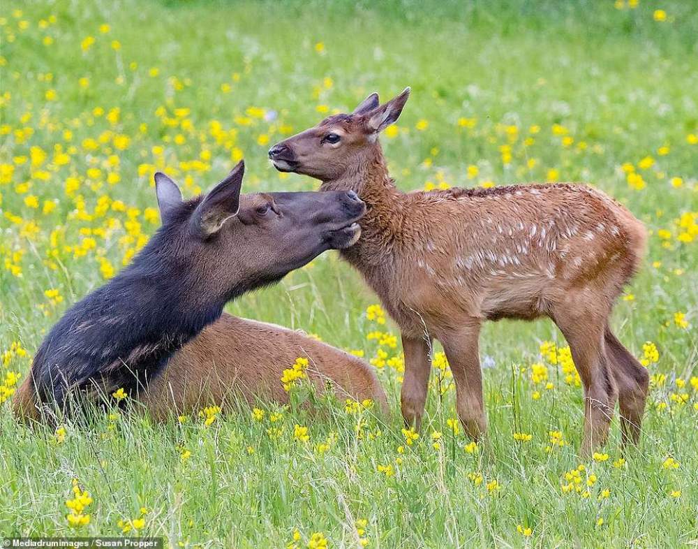 Finalistas del National Parks Photo Contest