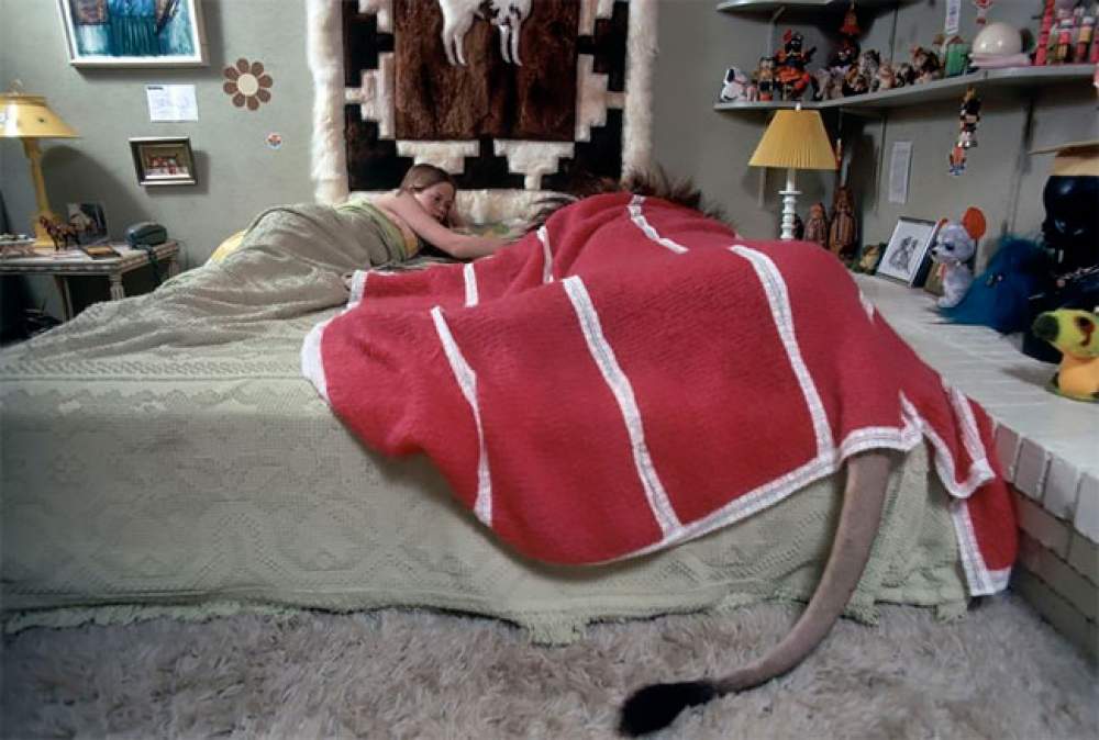 Neil, mascota de Tippi Hedren 