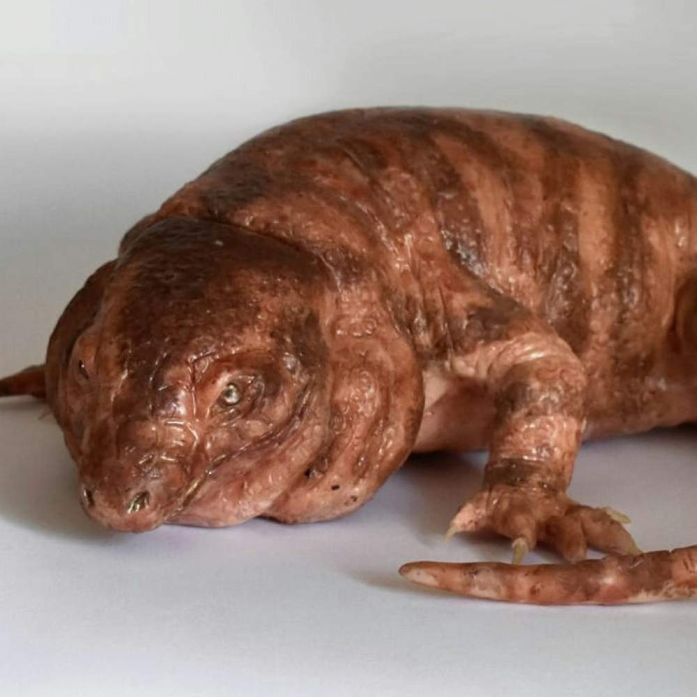 Espeluznantes criaturas de Laira Maganuco
